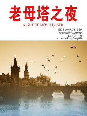 cover image of 老母塔之夜